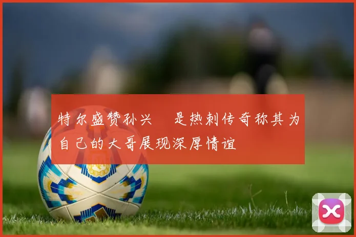 特尔盛赞孙兴慜是热刺传奇称其为自己的大哥展现深厚情谊