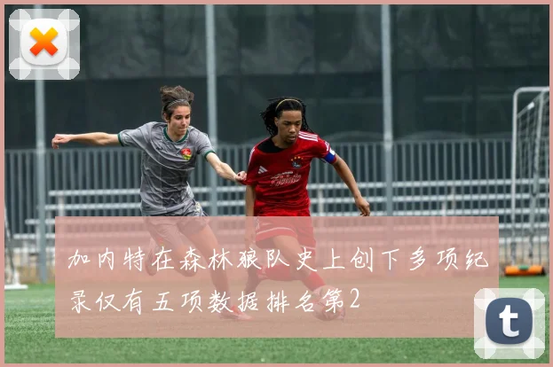 加内特在森林狼队史上创下多项纪录仅有五项数据排名第2