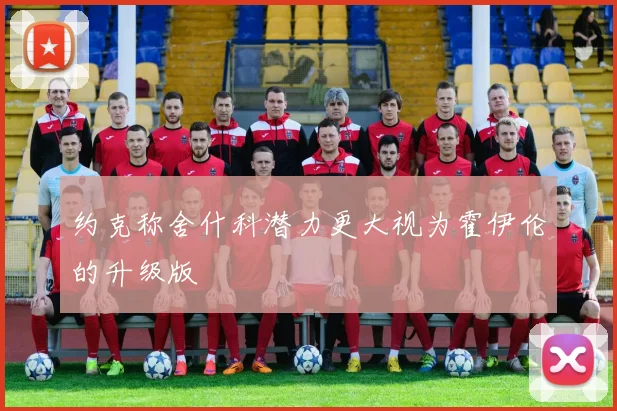 约克称舍什科潜力更大视为霍伊伦的升级版