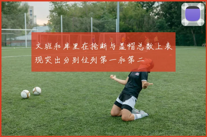 文班和库里在抢断与盖帽总数上表现突出分别位列第一和第二