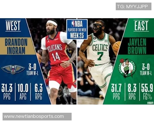 我对便士和麦迪的录像情有独钟布兰登罗伊是我心中的篮球偶像